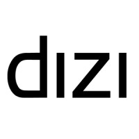 DIZI logo - Similar company to Processweaver Software Solutions Private Limited