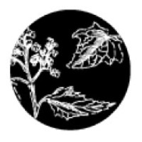 Deeks Health Foods logo - Similar company to Affinity Electrical Technologies