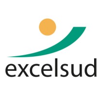 excelsud logo - Similar company to Koon, Au Centre De Soi