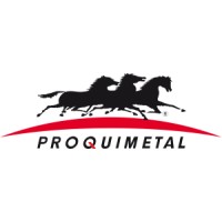 PROQUIMETAL logo - Similar company to La Bota De Neil