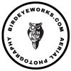 BIRD EYE WORKS logo - Similar company to Aerofor