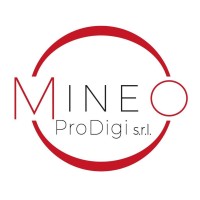 Mineo ProDigi srl logo - Similar company to X-System