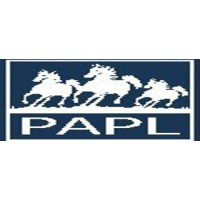 PRADHAN ASSOCIATES PRIVATE LIMITED logo - Similar company to Pradhan Digitech