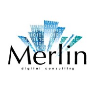 Merlin Digital Consulting logo - Similar company to Kupukoo