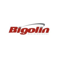 Bigolin Distribuidora De Alimentos logo - Similar company to Faela Distribuidora
