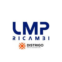 LMP Ricambi logo - Similar company to Consulgroup Srl Ancona