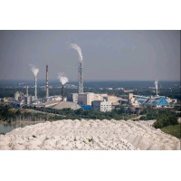 Lifosa AB logo - Similar company to Eva Paslaugos