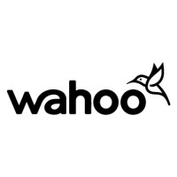 Wahoo Group logo - Similar company to Outerspace Creative Ltd