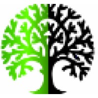 Bent Tree Financial Consulting