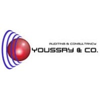Youssry & Co. Auditing & Consultancy logo - Similar company to Unity Auditing