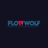 FLOWWOLF logo - Similar company to Inispire It & Management Services