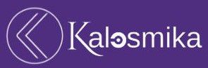 VIN Kalosmika Technologies Corporation logo - Similar company to Ackrock Technologies