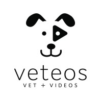 Veteos logo - Similar company to Dragon Auto