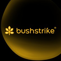 Bushstrike logo - Similar company to Aorah