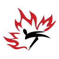 Taekwondo Canada logo - Similar company to Kukkiwon