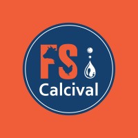 F.S. Calcival logo - Similar company to Ampatech Masterbatches