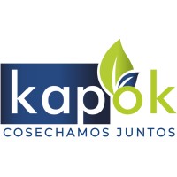 Kapok Trade logo - Similar company to Master Customs Sas