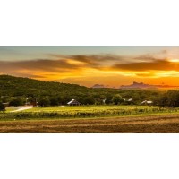 Singing Water Vineyards logo - Similar company to Pcbancard