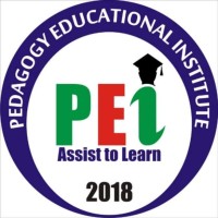 PEDAGOGY INSITITUTE logo - Similar company to Imagine Independence