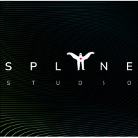 Spline Studio logo - Similar company to Classic Image