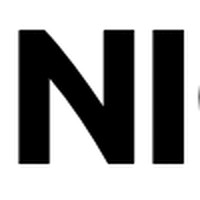 Niche Invest logo - Similar company to Syneroid Technologies