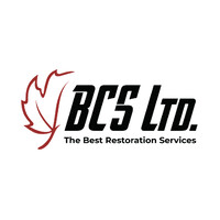 BCS Ltd. Canada logo - Similar company to Infinitin