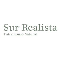 Sur Realista logo - Similar company to Bcomms