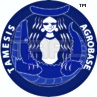 Tamesis Agrobase Private Limited logo - Similar company to Rough Gem Resources