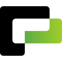 Paytrinsic logo - Similar company to Leapday
