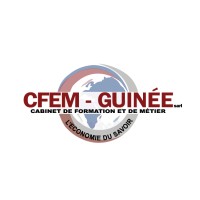 CFEM GUINEE logo - Similar company to B-Fing Logistics & Btp Guinea
