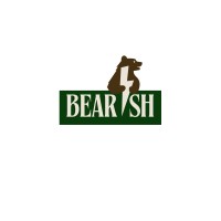 Bearish logo - Similar company to Vkyd Labs
