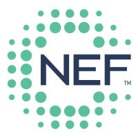 National Energy Foundation (Us)