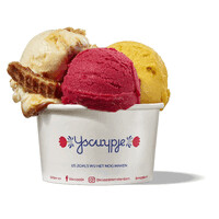 IJscuypje logo - Similar company to Roforsity