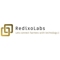 RedixoLabs logo - Similar company to Technologies33
