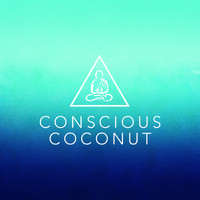 Conscious Coconut logo - Similar company to Replenish Iv Solutions