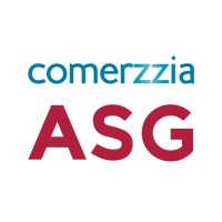 ASG, Aplicaciones y Sistemas de Gestión logo - Similar company to Developer 007