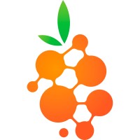 Seaberry Technologies logo - Similar company to Promobika Software