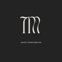 TM Consulting logo - Similar company to Arctic Yearbook