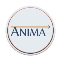 Ânima Semijoias logo - Similar company to Authentical Semijoias