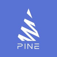 Pine Solutions logo - Similar company to Premium Technologies Ltd