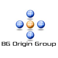 BG Origin Group logo - Similar company to Boston Systems & Solutions