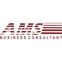 AMS BUSINESS CONSULTANTS logo - Similar company to Kavin Systems Pvt Ltd
