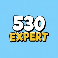 530 expert logo - Similar company to Exult Cyber Solution Pvt. Ltd.