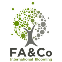 FA&Co logo - Similar company to Italent