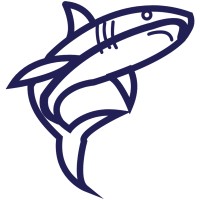 IronShark logo - Similar company to Thomas Pixelschmitt®