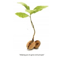DIANNEJCAREERCOACHING