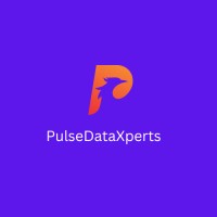 PulseDataXperts logo - Similar company to Omnisphere Insights