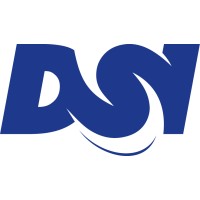 DSI Czech / Slovakia logo - Similar company to Bambule ®