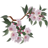 Laurel Abstract Company logo - Similar company to Abstract Shop, Llc