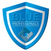 Blue Professionals logo - Similar company to Westend Consulting